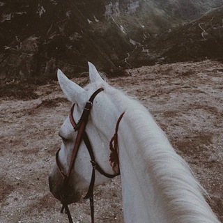 𝔲𝔪𝔪𝔞𝔱𝔦𝔦_1