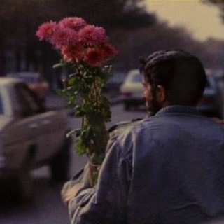 и мы умрем где-то посреди ночи.