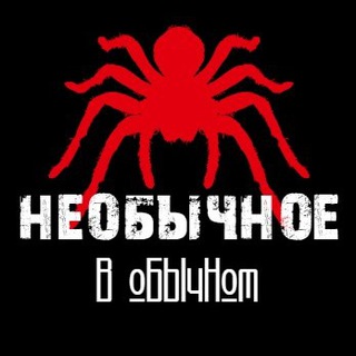 Необычное в Обычном...