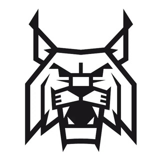 ГК «Динамо - Сунгуль»