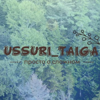 Ussuri Taiga