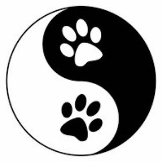 В мире животных🐾