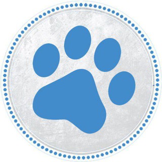 В Мире Животных – СПб (дайджест)