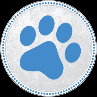 В Мире Животных - Томск (дайджест)