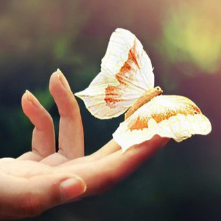 В женской голове