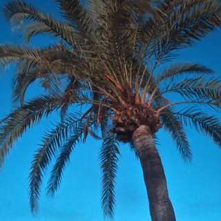 Отпускные фотографии