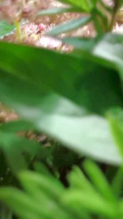 Валаамский монастырь