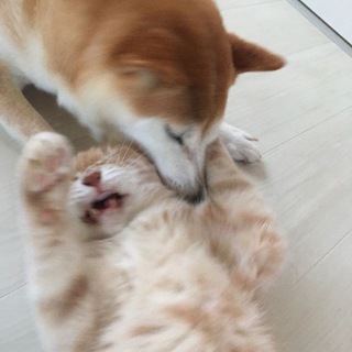 уютный канал😽💗