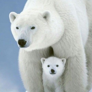 Про Детей. Валерия Гирина