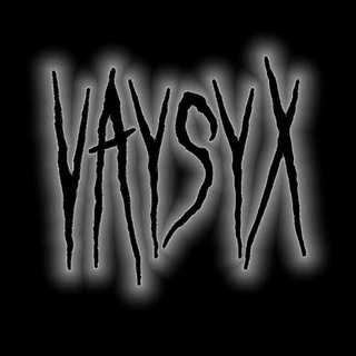 VAYSYX