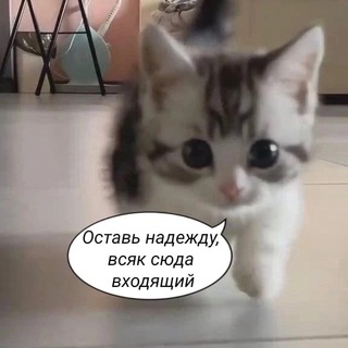 добрячка [vave1e]