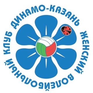 ВК «Динамо-Ак Барс»