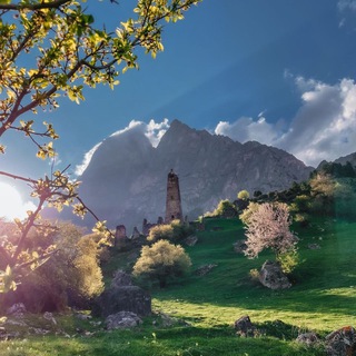 Вечерняя Ингушетия