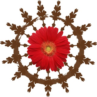 Веди Таро Vedi Tarot Ведичка