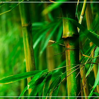 😍👍😄СЕКРЕТЫ ДОЛГОЛЕТИЯ🙏👍❤️