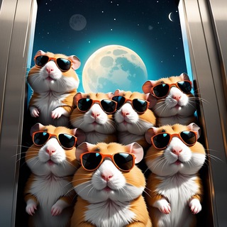 Hamster Pride | To the Moon | Veles | Crypto