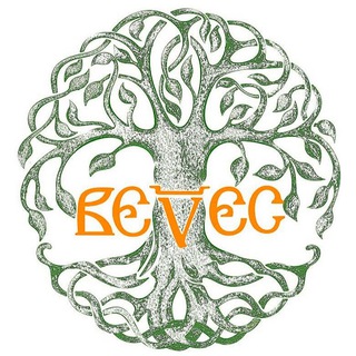 Медтехника «Велес»