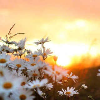 Верую ☦️️ Православие