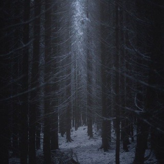 ·˚ ༘₊· ͟͟͞͞꒰➳𐌡ᥱᥴнᥲя ᴦ᧘уɯь.彡ೄྀ