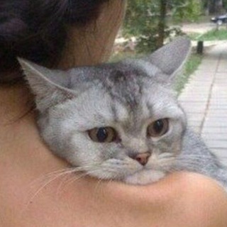 prince of the sadness