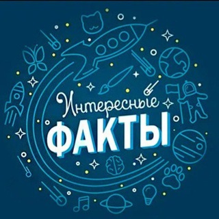 Интересные факты