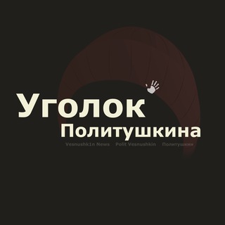 Уголок Политушкина | Выборы 2024