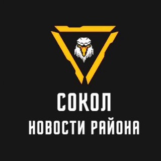 Вести Сокола