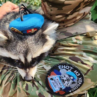 Машинная вышивка 26