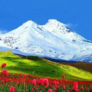  🪂⛵ Путешествуем вместе🇷🇺