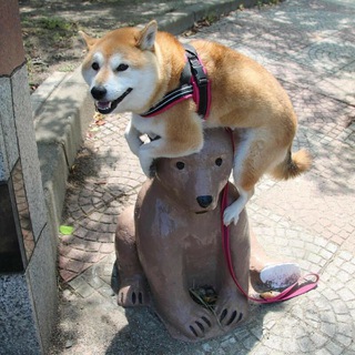 Приколы/гифы