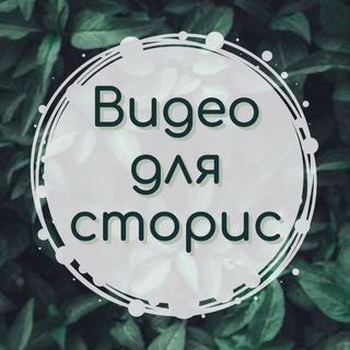 Видео для сторис