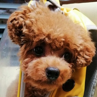 Семейный Вьетнам 🇻🇳