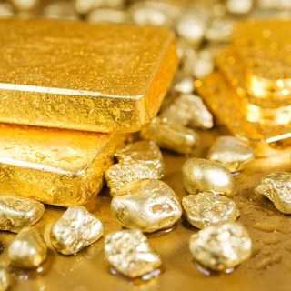 ВЫЖИВУТ БИГИ