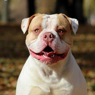 Стиф и Виктор✊