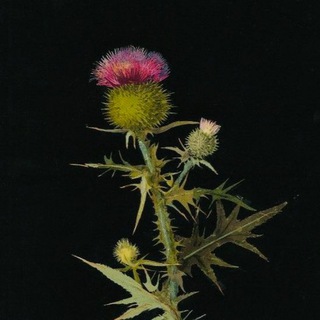 заметки зануды