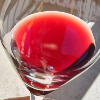 Виноизоляция