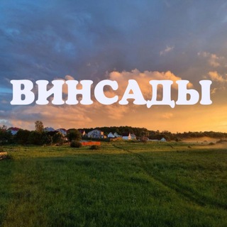 ВИНСАДЫ о разном
