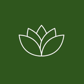 КЛИНИКА ВИТАЛАБ | Некрасовка