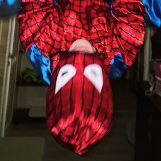 Витор Штейн