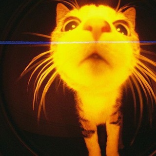 фото для фейков||🎀