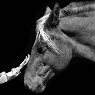 𝑨𝒅𝒌𝒉𝒂𝒎𝒋𝒂𝒏𝒐𝒗𝒏𝒂𝒔𝒔