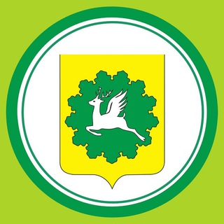 Администрация Ибресинского муниципального округа