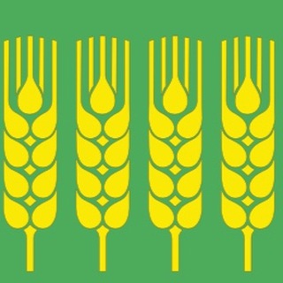 Администрация Дюртюлинского района