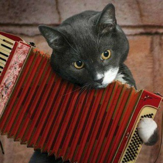 Моя рабочка