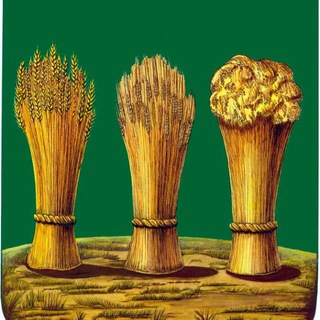 Администрация Пензы