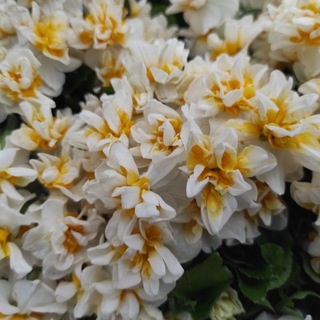 Измир. В ИЗМИРЕ ЗИМА!