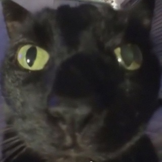 Стенка во вконтактике