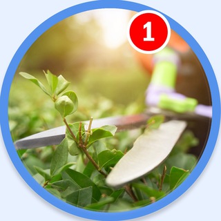 Вокруг Сада 🪴