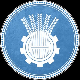 Волгоград - Новости (дайджест)