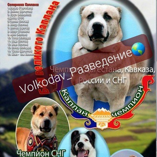 𝕍𝕠𝕝𝕜𝕠𝕕𝕒𝕧_ⓅⓐзⒷⓔдⓔⒽиⓔ🌎